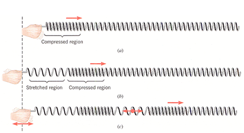 1474_Determine the wavelength of the wave.png